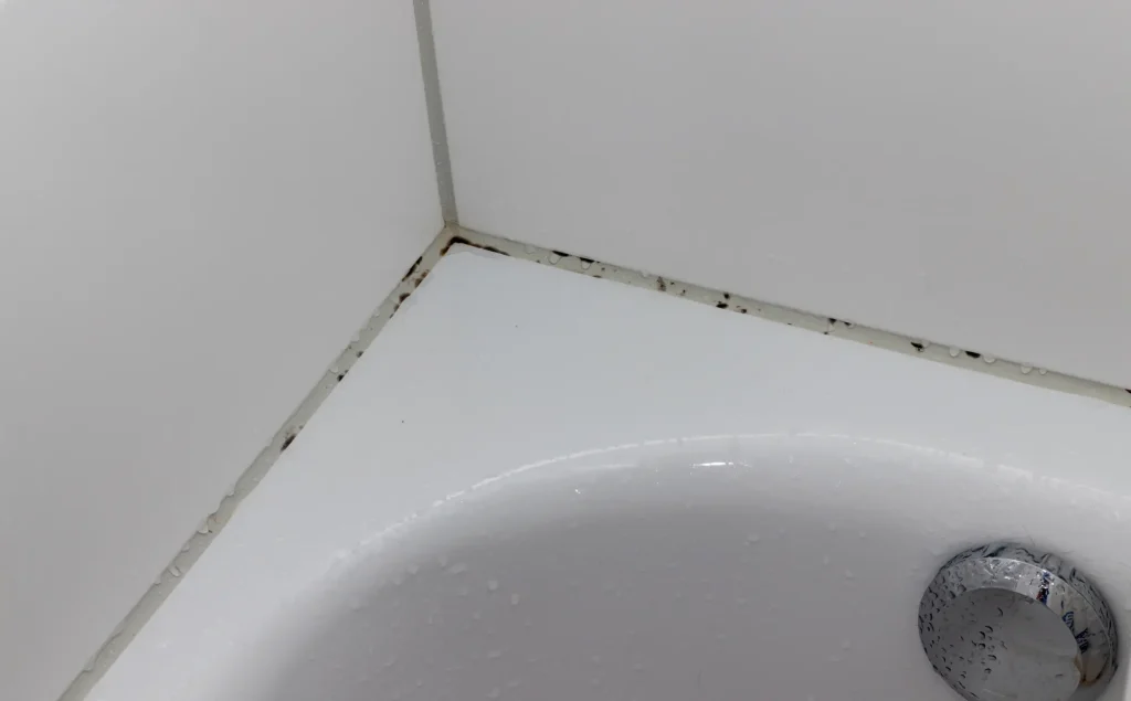 Gepflegte Fliesenfugen in einem sanierten Badezimmer.